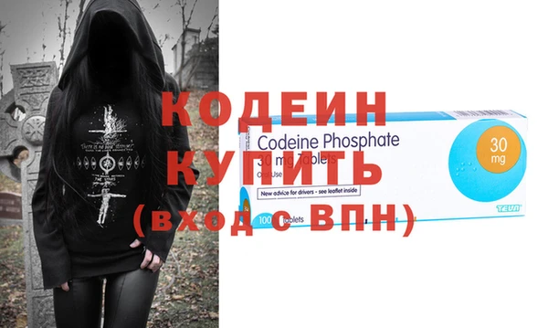 индика Киреевск