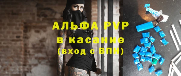 индика Киреевск