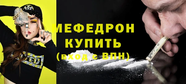 индика Киреевск