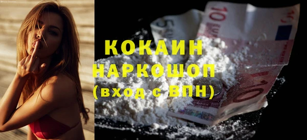 индика Киреевск