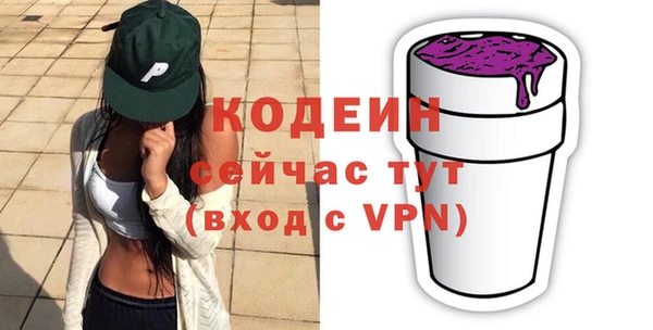 индика Киреевск