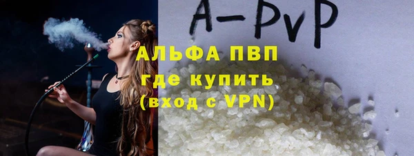индика Киреевск