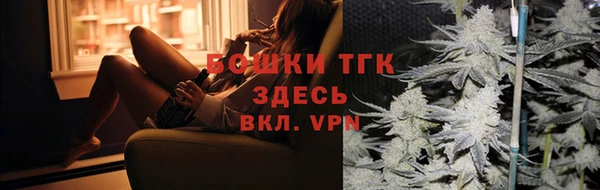 индика Киреевск