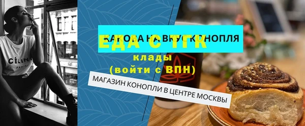 индика Киреевск