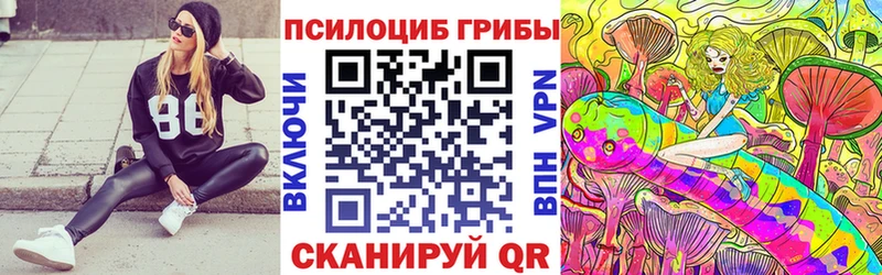 Купить где  Аркадак  Галлюциногенные грибы Cubensis 